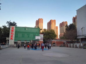 石家庄煤机厂与石家庄百货 时代变迁下的城市记忆