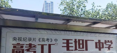 毛坦厂中学落地石家庄，高考模式冲击与家长心态观察