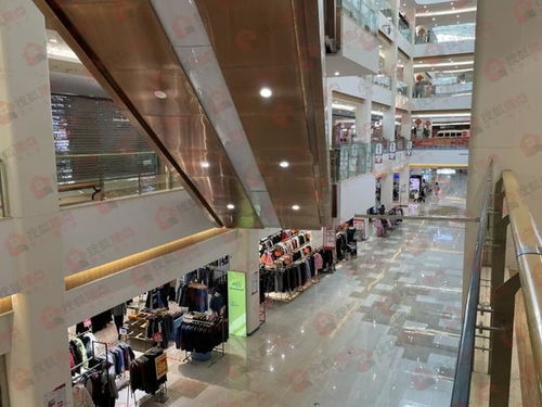 石家庄商贸转型新篇 塔坛牵手王府井，多商场探索求生路